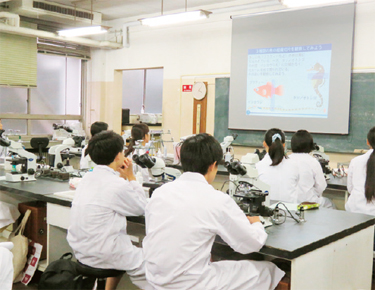 Laboratory Classes for Future Sophians